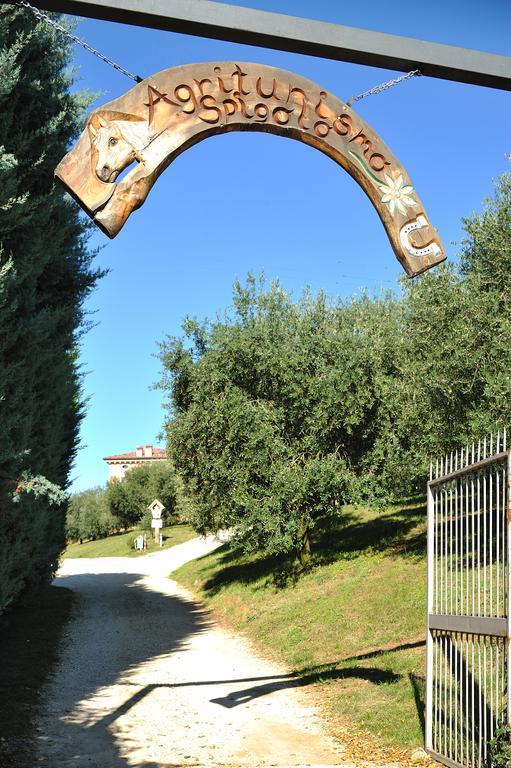 Agriturismo Spigolo Avesa Dış mekan fotoğraf