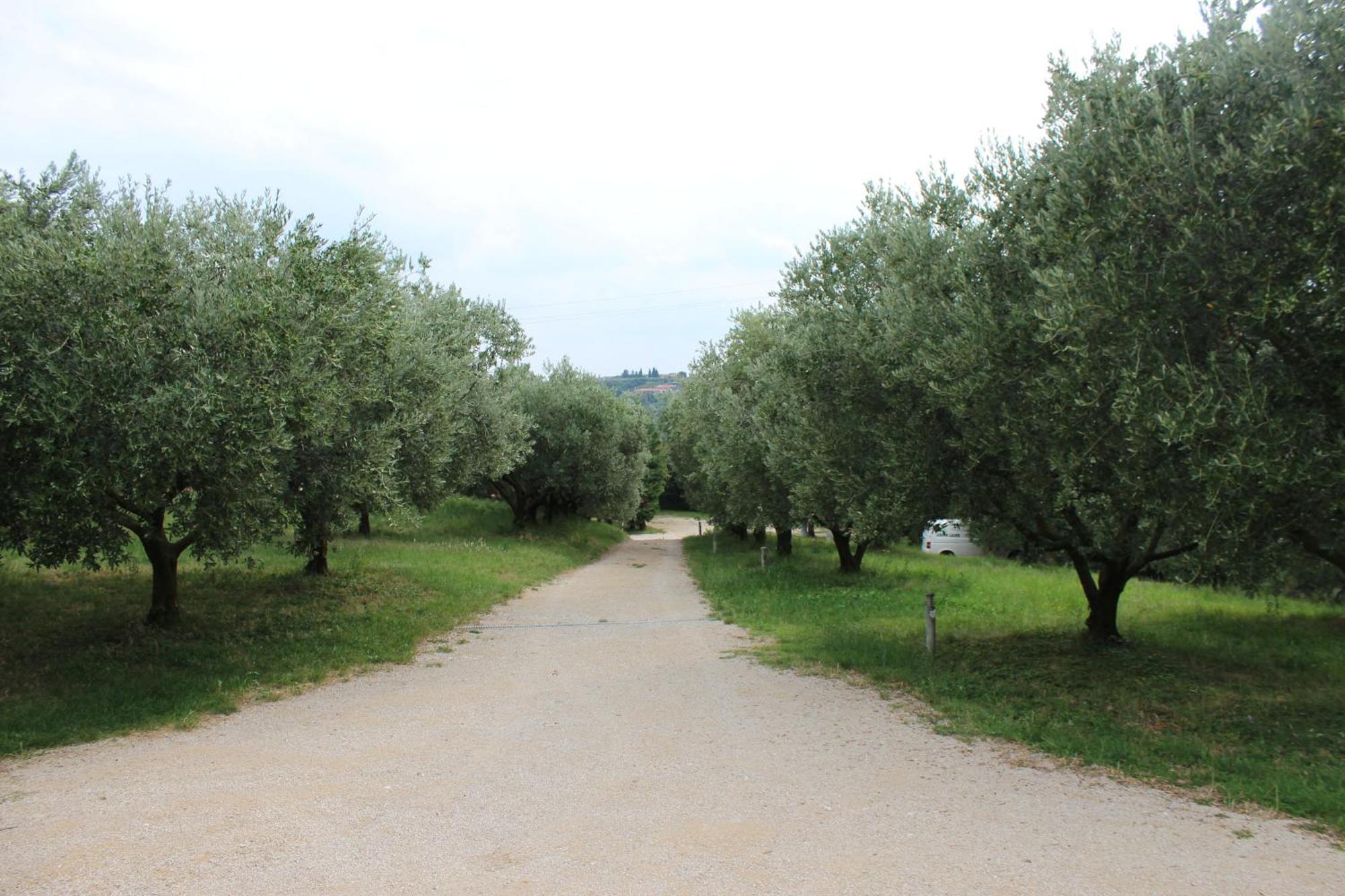 Agriturismo Spigolo Avesa Dış mekan fotoğraf